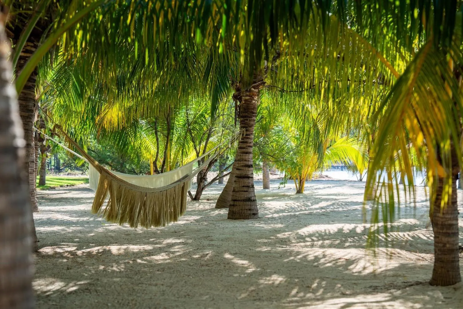 Luxury Beachfront 4Br Apartment In Isla Mujeres